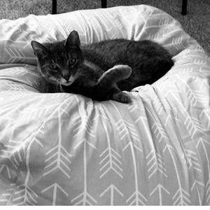 Meet your Posher, Lillian